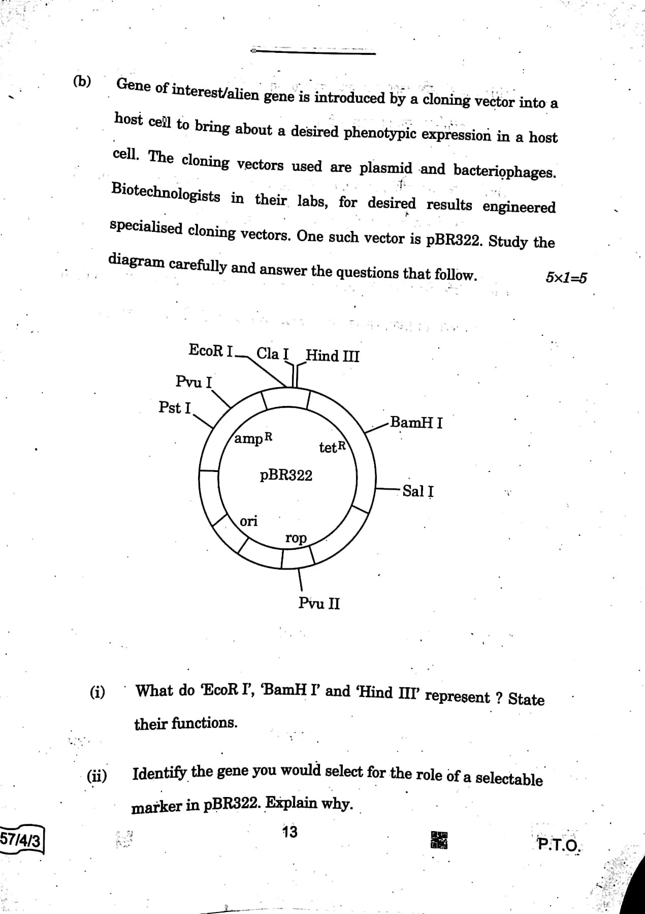 CBSE Board Class 12 Biology 2021-22 Paper page-07